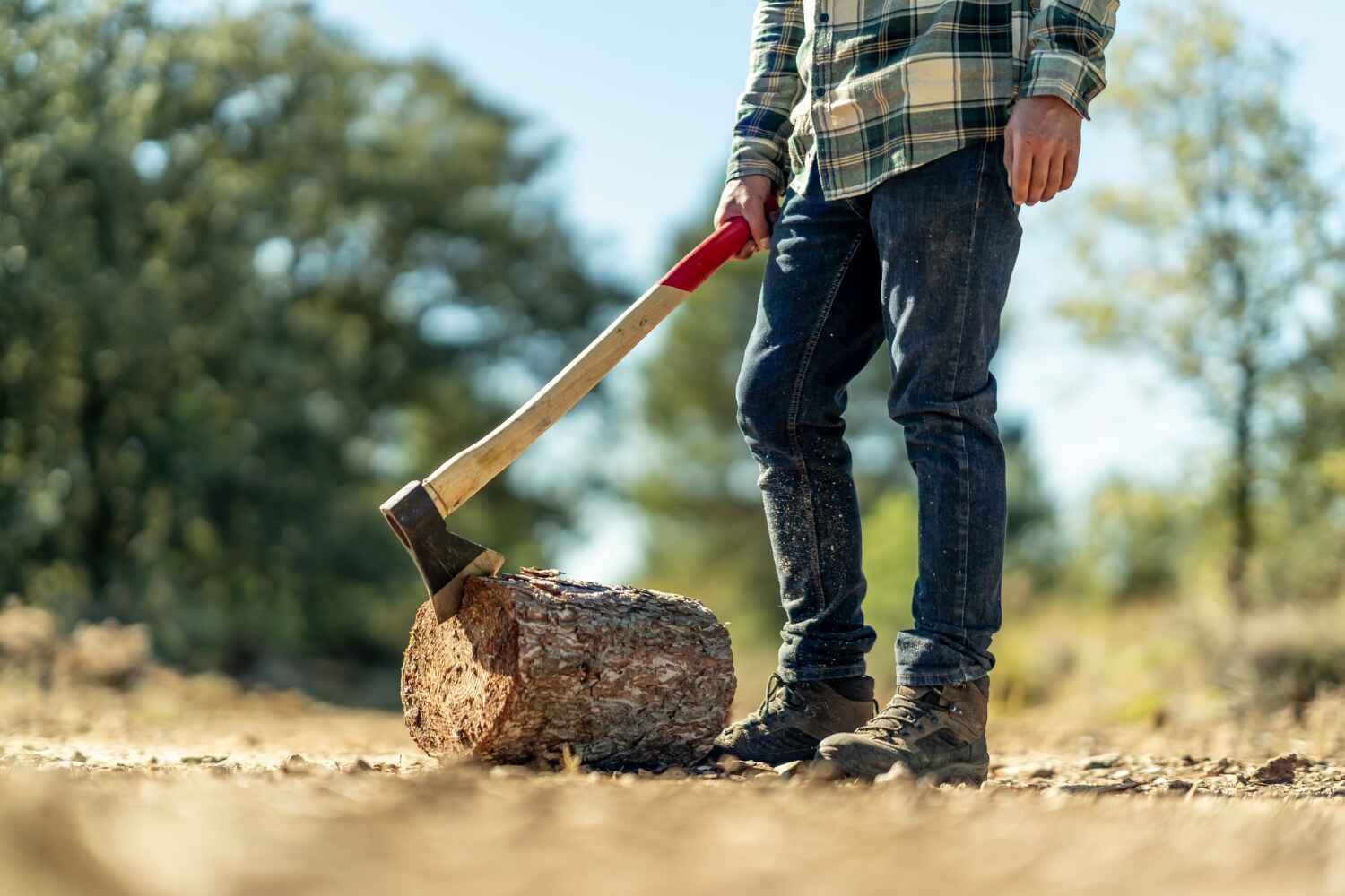 Emergency Storm Tree Removal in Salton City, CA